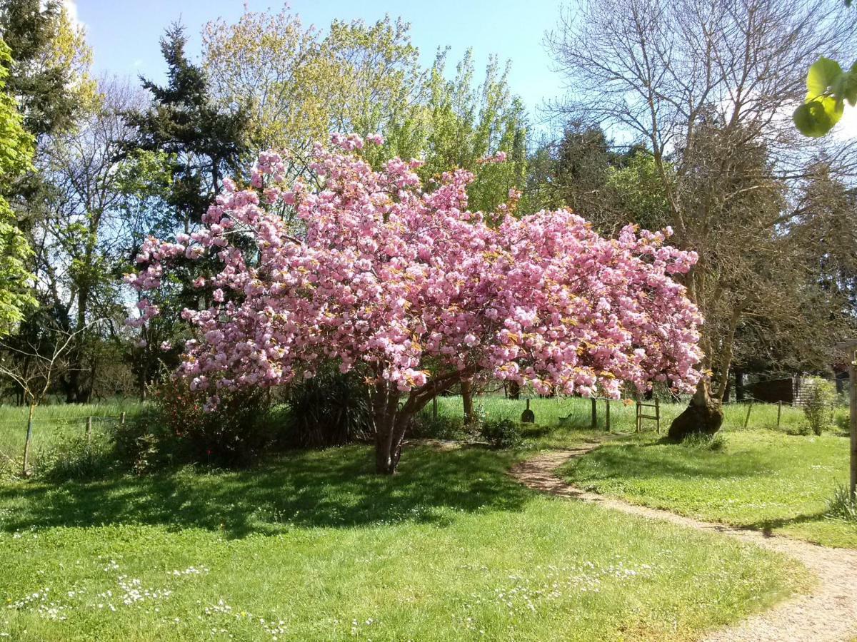 Bed and Breakfast Rive Gauche Mazé Exterior foto